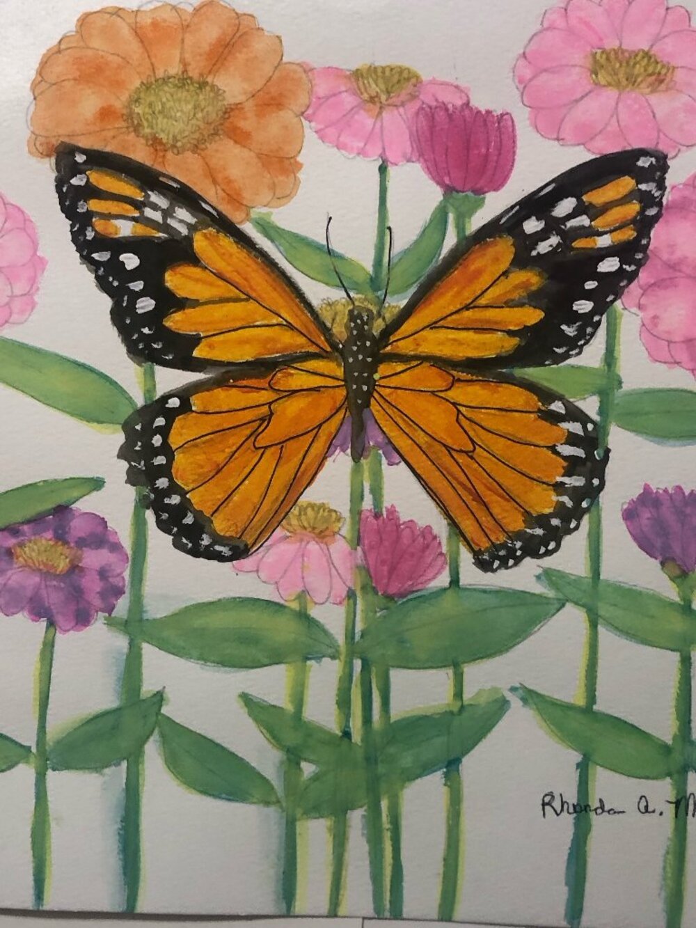 Monarch Butterfly on Zinnia Watercolor Painting